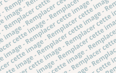 Modèle Article de Blog